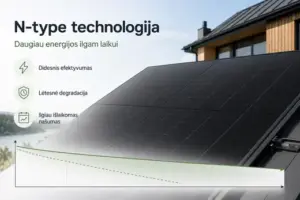 n-type-moduliai-web-mini