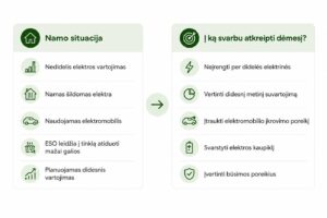 lentele_web_palyginimas